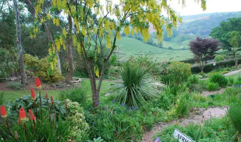 Plant World Gardens and Nursery, , United Kingdom